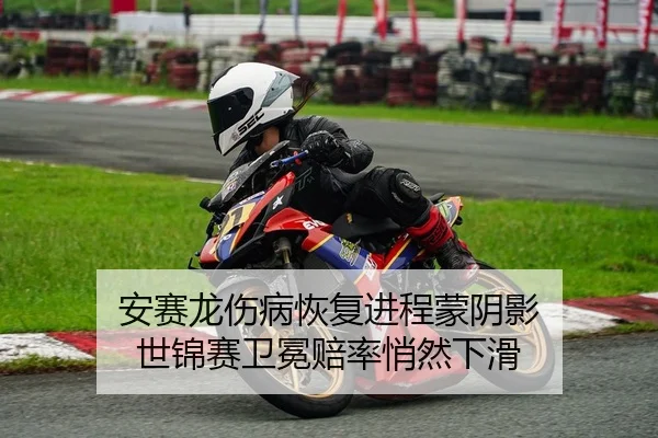 安赛龙伤病恢复进程蒙阴影 世锦赛卫冕赔率悄然下滑