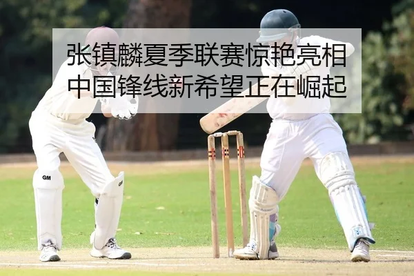 张镇麟夏季联赛惊艳亮相 中国锋线新希望正在崛起