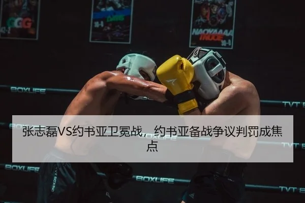 张志磊VS约书亚卫冕战，约书亚备战争议判罚成焦点